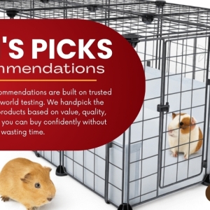 Jon's Picks Comparison