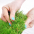 Pasadena Artificial Grass Pros