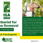ISA-Certified Arborist for Tree Removal Charlotte, NC - AAA Tree Experts
