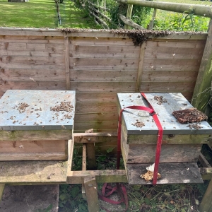 Wiltshire Pest Services Ltd