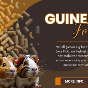Food For Guinea Pigs