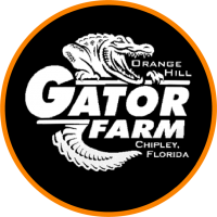 Orange Hill Gator Farms
