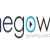 SMEGOWEB - Digital Marketing Agency