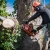 Parsippany Tree Services	