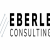 Eberle Consulting GmbH &amp;amp; Co. KG